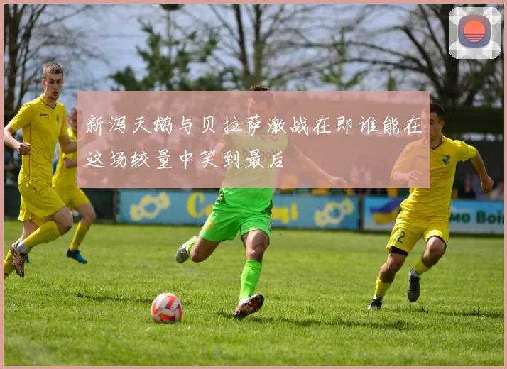 新泻天鹅与贝拉萨激战在即谁能在这场较量中笑到最后