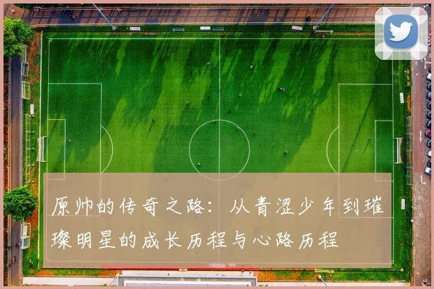 原帅的传奇之路：从青涩少年到璀璨明星的成长历程与心路历程