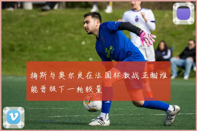 梅斯与奥尔良在法国杯激战正酣谁能晋级下一轮较量