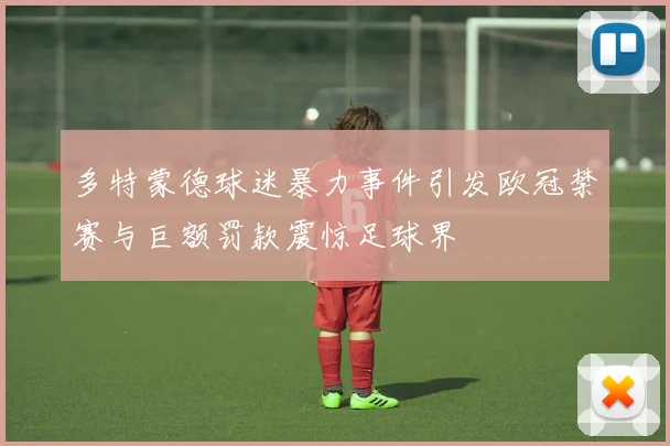 多特蒙德球迷暴力事件引发欧冠禁赛与巨额罚款震惊足球界