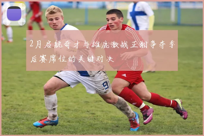 2月启航奇才与雄鹿激战正酣争夺季后赛席位的关键对决