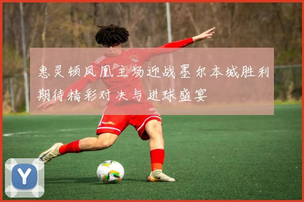 惠灵顿凤凰主场迎战墨尔本城胜利期待精彩对决与进球盛宴